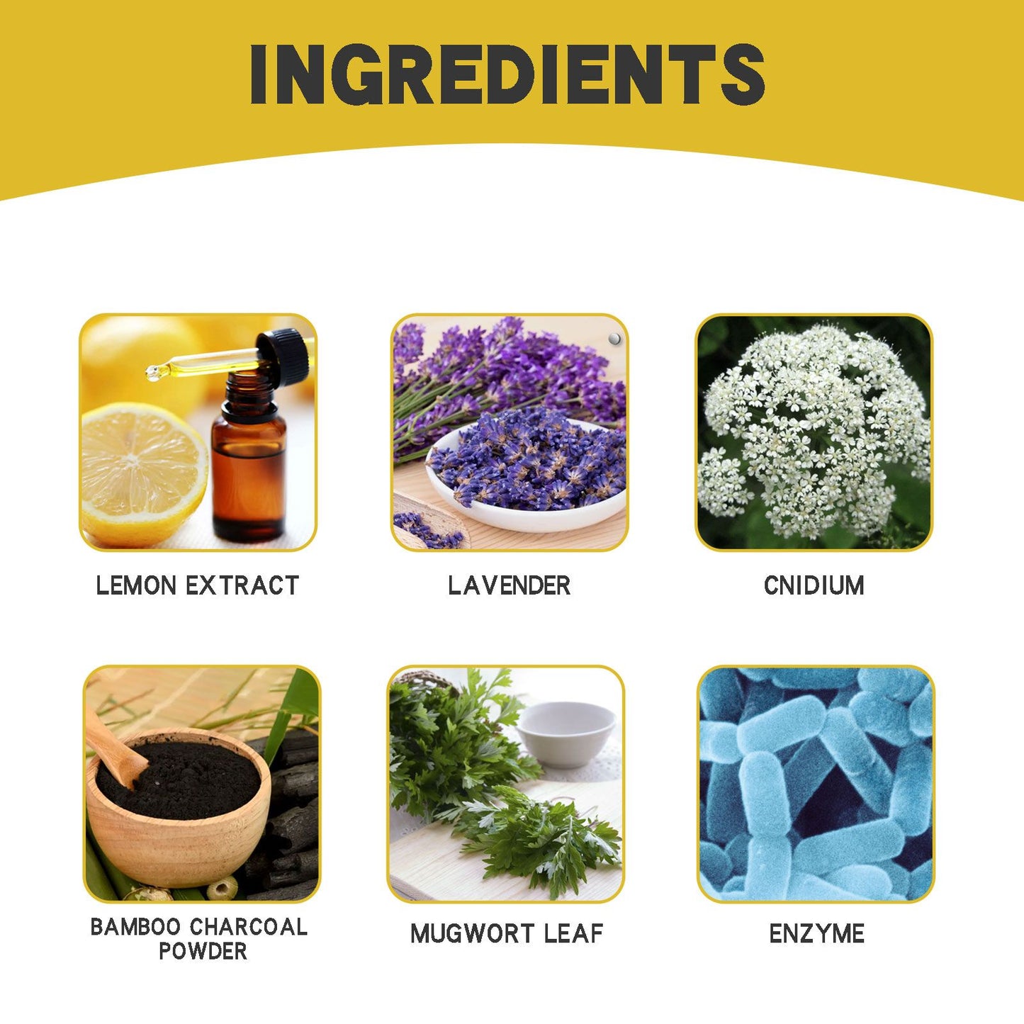Shoe Deodorizing Stickers for Odor Control & Sweat Absorption (Lavender & Lemon Fresh)